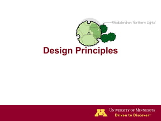 Design Principles 