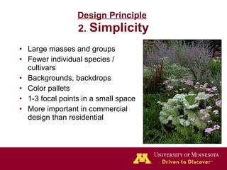 Design Principle   2.  Simplicity Large masses and groups Fewer individual species / cultivars Backgrounds, backdrops Color pallets 1-3 focal points in a small space More important in commercial design than residential 