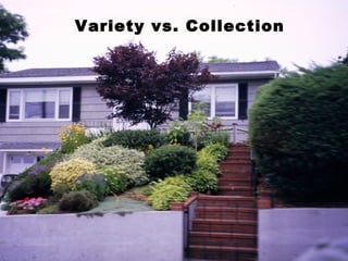 Variety vs. Collection 
