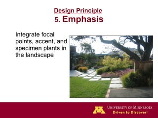Design Principle   5.  Emphasis Integrate focal points, accent, and specimen plants in the landscape 