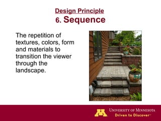 Design Principle   6.  Sequence The repetition of textures, colors, form and materials to transition the viewer through the landscape. 