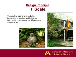 Design Principle   7.  Scale The relative size of one part of a landscape to another and to human beings using plants and hard features of various sizes. 