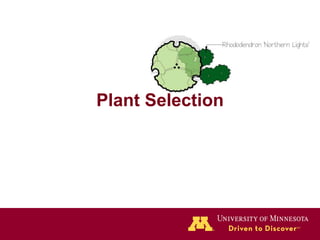 Plant Selection 