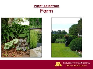 Plant selection Form 