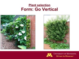 Plant selection Form: Go Vertical 