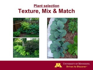 Plant selection Texture, Mix & Match 