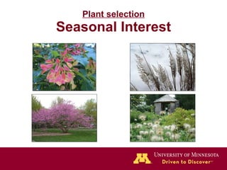 Plant selection Seasonal Interest 