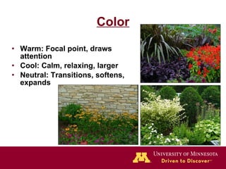 Color Warm: Focal point, draws attention  Cool: Calm, relaxing, larger Neutral: Transitions, softens, expands 