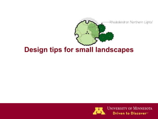 Design tips for small landscapes 