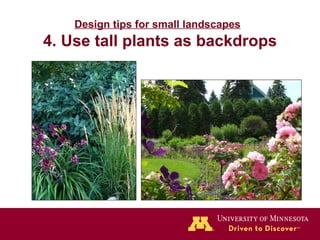 Design tips for small landscapes   4. Use tall plants as backdrops 