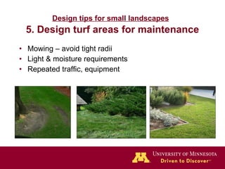 Design tips for small landscapes   5. Design turf areas for maintenance Mowing – avoid tight radii Light & moisture requirements Repeated traffic, equipment 
