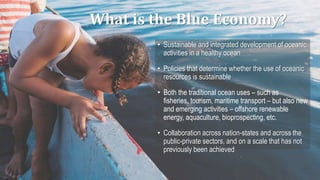 What is the Blue Economy?
• Sustainable and integrated development of oceanic
activities in a healthy ocean
• Policies that determine whether the use of oceanic
resources is sustainable
• Both the traditional ocean uses – such as
fisheries, tourism, maritime transport – but also new
and emerging activities – offshore renewable
energy, aquaculture, bioprospecting, etc.
• Collaboration across nation-states and across the
public-private sectors, and on a scale that has not
previously been achieved
 