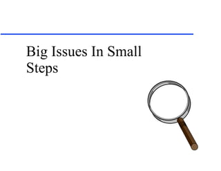 Big Issues In Small Steps 