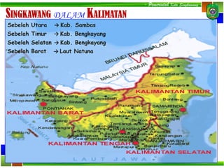 - Pemerintah Kota Singkawang -
SINGKAWANG DALAM KALIMATAN
Sebelah Utara → Kab. Sambas
Sebelah Timur → Kab. Bengkayang
Sebelah Selatan → Kab. Bengkayang
Sebelah Barat → Laut Natuna
 