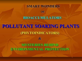 SMART WONDERS
              OF

       BIOACCUMULATORS

POLLUTANT SOAKING PLANTS
      (PHYTOINDICATORS)
              &
       MYSTERIES BEHIND
  ENVIRONMENTAL PROTECTION
 