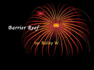 Barrier Reef by: Bailey W. 
