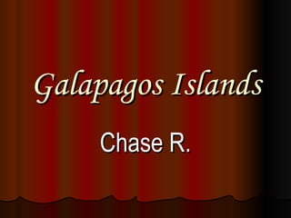 Galapagos Islands Chase R. 