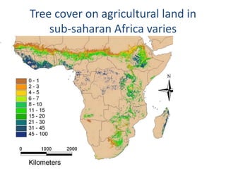 Trees on Farm: Global Extent and Socio-Ecological Characteristics and the Contribution of Agroforestry to Global and National Carbon Budgets