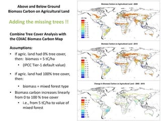 Trees on Farm: Global Extent and Socio-Ecological Characteristics and the Contribution of Agroforestry to Global and National Carbon Budgets