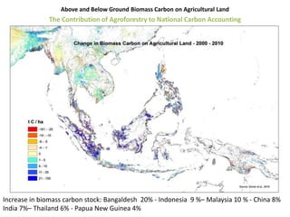 Trees on Farm: Global Extent and Socio-Ecological Characteristics and the Contribution of Agroforestry to Global and National Carbon Budgets