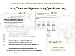 Trees on Farm: Global Extent and Socio-Ecological Characteristics and the Contribution of Agroforestry to Global and National Carbon Budgets