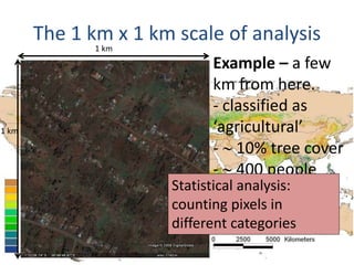 Trees on Farm: Global Extent and Socio-Ecological Characteristics and the Contribution of Agroforestry to Global and National Carbon Budgets