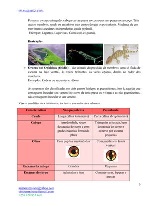 SMAM@MOZ.COM
3
asimoesmoises@yahoo.com
simoesmoisesa@gmail.com
+258 820 855 469
Possuem o corpo alongado, cabeça curta e presa ao corpo por um pequeno pescoço. Têm
quatro membros, sendo os anteriores mais curtos do que os posteriores. Mudança de cor
movimentos oculares independentes cauda preênsil.
Exemplo: Lagartos, Lagartixas, Camaleões e Iguanas.
Ilustrações:
 Ordens dos Ophideos (Ofídio) – são animais desprovidas de membros, uma só fiada de
escama na face ventral, às vezes brilhantes, às vezes opacas, dentes ao redor dos
maxilares.
Exemplos: Cobras ou serpentes e víboras
As serpentes são classiﬁcadas em dois grupos básicos: as peçonhentas, isto é, aquelas que
conseguem inocular seu veneno no corpo de uma presa ou vítima; e as não peçonhentas,
não conseguem inocular o seu veneno.
Vivem em diferentes habitantes, inclusive em ambientes urbanos.
Características Não-peçonhenta Peçonhenta
Cauda Longa (afina lentamente) Curta (afina abruptamente)
Cabeça Arredondada, pouco
destacada do corpo e com
grades escamas formando
placa
Triangular achatada, bem
destacada do corpo e
coberto por escama
pequenas
Olhos Com pupilas arredondadas Com pupilas em fenda
vertical
Escamas da cabeça Grandes Pequenas
Escamas do corpo Achatadas e lisas Com nervuras, ásperas e
arestas
 