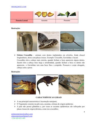 SMAM@MOZ.COM
4
asimoesmoises@yahoo.com
simoesmoisesa@gmail.com
+258 820 855 469
Fosseta Loreal Ausente Presente
Ilustrações
 Ordem Crocodilia – animais com dentes implantados em alvéolos, fenda cloacal
longitudinais, dorso com placas ósseas. Exemplo: Crocodilo, Gavialidae e Jacaré.
Crocodilos têm a cabeça mais estreita, quando fecham a boca aparecem alguns dentes.
Jacarés têm a cabeça mais larga e arredondada, quando fecham a boca os dentes não
aparecem,  o Gavialidae tem uma boca fina e comprida. Possuem o corpo alongado,
cabeça curta e presa.
Ilustrações
CARACTERÍSTICAS GERAIS
 A sua principal característica é locomoção rastejante;
 O Tegumento consiste na pele seca, escamas, córneas de origem epiderme;
 A pele não possui glândulas e, por vezes as escamas epidérmicas são reforçadas por
placas ósseas de origem dérmica, como nos crocodilos;
 