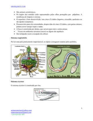 SMAM@MOZ.COM
5
asimoesmoises@yahoo.com
simoesmoisesa@gmail.com
+258 820 855 469
 São animais ectotérmicos;
 Os órgãos dos sentidos estão representados pelos olhos protegidos por pálpebras. A
membrana do tímpano é externa;
 O esqueleto é bem desenvolvido, tem cinco (5) dedos (lagartos, crocodilo, quelonios ou
são ápodes (serpentes);
 Possuem dois pares de extremidades, desprovidas de cinco (5) dedos, com garras cárneas;
podem correr rastejar trepar e nadar;
 A boca é constituída por dentes, que servem para reter e cortar presas;
   Vivem em ambientes terrestres (secos) ou alguns são aquáticos
 São tetrápodes (com a excepção de cobras)
Sistema respiratório
Por ter uma pele praticamente impermeável, os répteis conseguem respirar pelos pulmões.
Sistema excretor
O sistema excretor é constituido por rins.
 