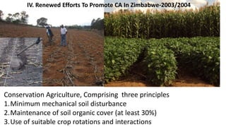 IV. Renewed Efforts To Promote CA In Zimbabwe-2003/2004 
Conservation Agriculture, Comprising three principles 
1.Minimum mechanical soil disturbance 
2.Maintenance of soil organic cover (at least 30%) 
3.Use of suitable crop rotations and interactions 
 