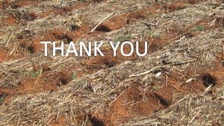 S marongwe experiences from zim