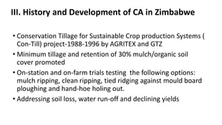III. History and Development of CA in Zimbabwe 
• Conservation Tillage for Sustainable Crop production Systems ( 
Con-Till) project-1988-1996 by AGRITEX and GTZ 
• Minimum tillage and retention of 30% mulch/organic soil 
cover promoted 
• On-station and on-farm trials testing the following options: 
mulch ripping, clean ripping, tied ridging against mould board 
ploughing and hand-hoe holing out. 
• Addressing soil loss, water run-off and declining yields 
 
