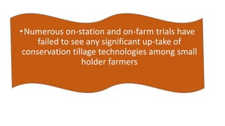 •Numerous on-station and on-farm trials have 
failed to see any significant up-take of 
conservation tillage technologies among small 
holder farmers 
 