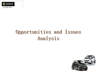 Opportunities and Issues Analysis 