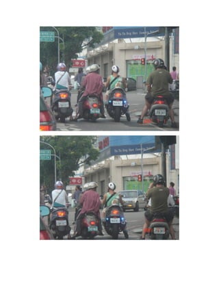 Smart Dog Knew The Rule