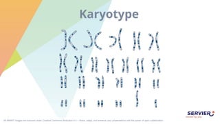 Smart Genetics SMART-Genetics.pptx genetics and it's terminologies | PPTX
