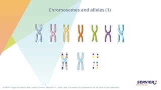 Smart Genetics SMART-Genetics.pptx genetics and it's terminologies | PPTX