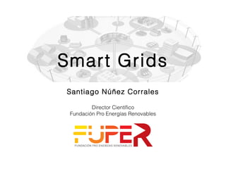 Smart Grids
Santiago Núñez Corrales
Director Científico
Fundación Pro Energías Renovables
 