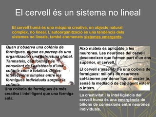 Quan s’observa una colònia de
formigues, el que es percep és una
organització i una estructura global.
Tanmateix, cap formiga és
conscient de l’existència d’una
colònia com a totalitat. De les
interaccions simples entre les
formigues individuals sorgeix la
colònia.
El cervell s’assembla a una colònia de
formigues: milions de neurones
col·laboren per donar lloc al nostre jo,
sense la mediació de cap agent extern
o intern.
Això mateix és aplicable a les
neurones. Les neurones del cervell
desconeixen que formen part d’un ens
superior, el cervell.
El cervell és un sistema no lineal
El cervell humà és una màquina creativa, un objecte natural
complex, no lineal. L’autoorganització és una tendència dels
sistemes no lineals, també anomenats sistemes emergents.
Una colònia de formigues és més
creativa i intel·ligent que una formiga
sola.
La creativitat i la intel·ligència del
cervell humà és una emergència de
bilions de connexions entre neurones
individuals.
 