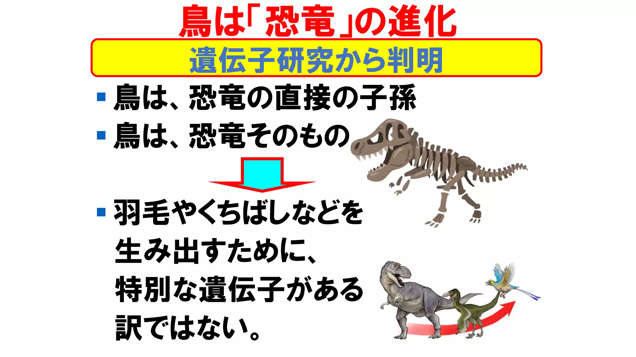 ▪ 鳥は、恐竜の直接の子孫
▪ 鳥は、恐竜そのもの
▪ 羽毛やくちばしなどを
生み出すために、
特別な遺伝子がある
訳ではない。
遺伝子研究から判明
鳥は「恐竜」の進化
 