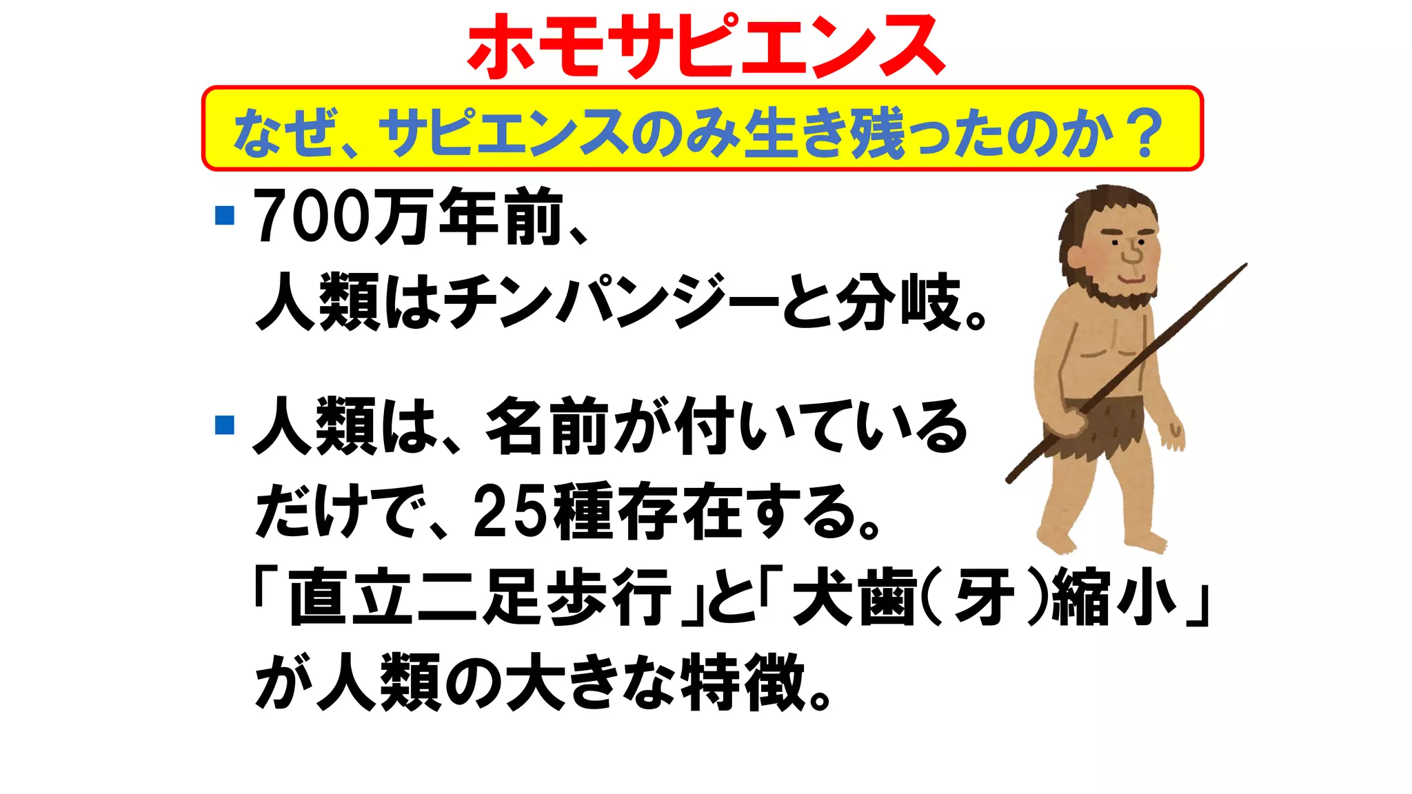 ▪ 700万年前、
人類はチンパンジーと分岐。
▪ 人類は、名前が付いている
だけで、25種存在する。
「直立二足歩行」と「犬歯（牙）縮小」
が人類の大きな特徴。
なぜ、サピエンスのみ生き残ったのか？
ホモサピエンス
 