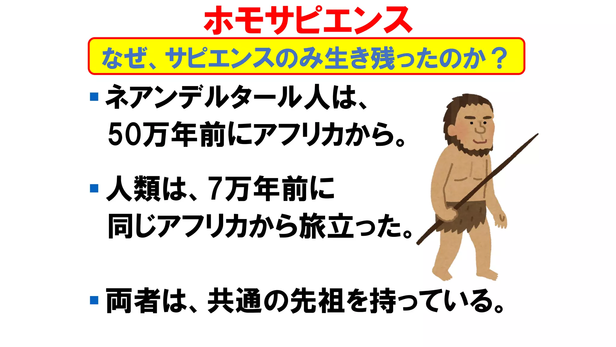 ▪ ネアンデルタール人は、
50万年前にアフリカから。
▪ 人類は、7万年前に
同じアフリカから旅立った。
▪ 両者は、共通の先祖を持っている。
なぜ、サピエンスのみ生き残ったのか？
ホモサピエンス
 
