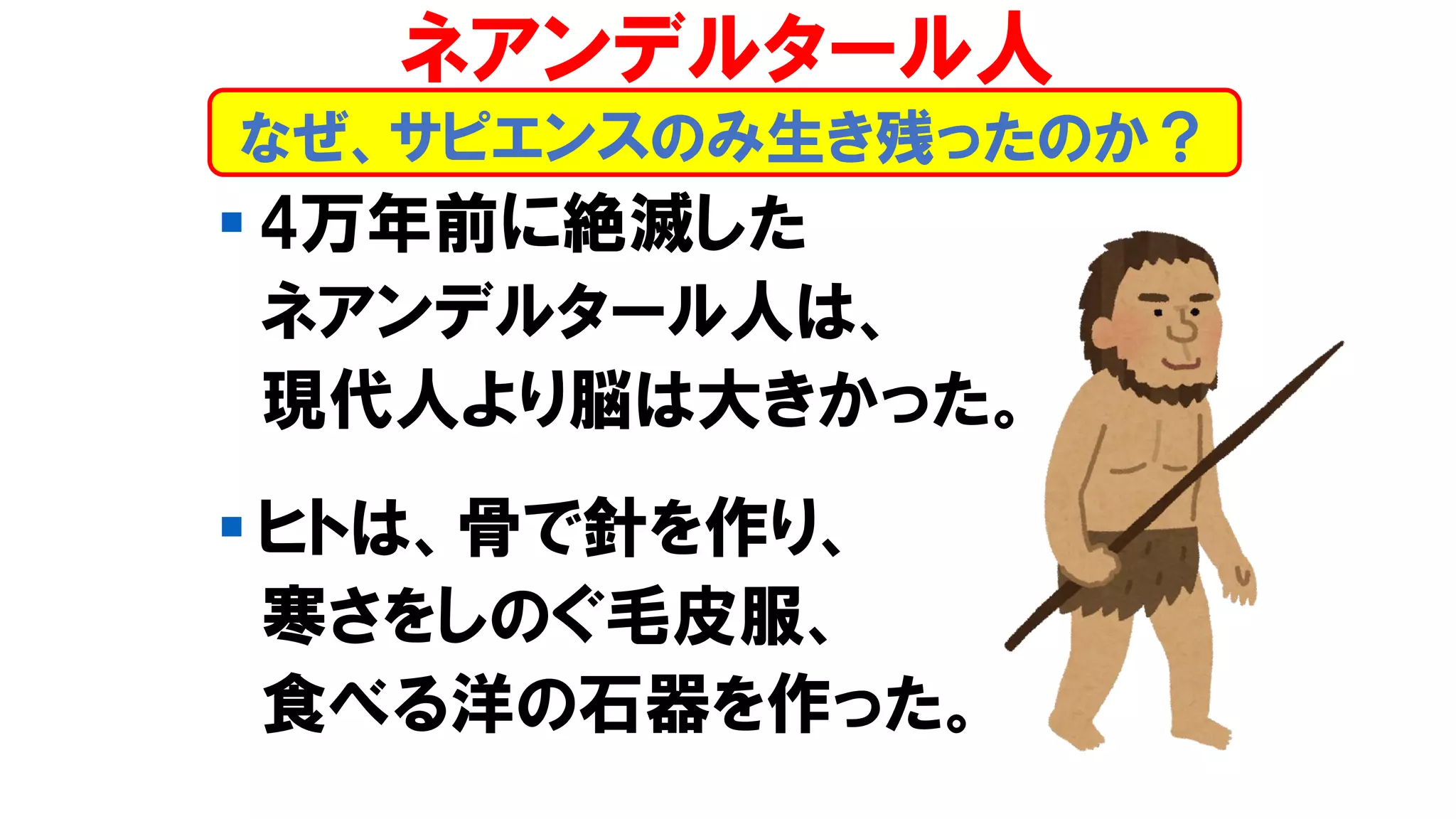 ▪ 4万年前に絶滅した
ネアンデルタール人は、
現代人より脳は大きかった。
▪ ヒトは、骨で針を作り、
寒さをしのぐ毛皮服、
食べる洋の石器を作った。
なぜ、サピエンスのみ生き残ったのか？
ネアンデルタール人
 