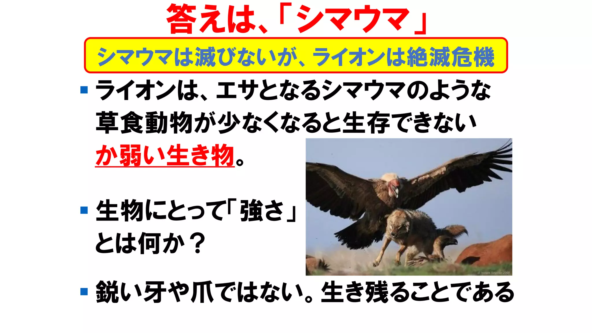 ▪ ライオンは、エサとなるシマウマのような
草食動物が少なくなると生存できない
か弱い生き物。
▪ 生物にとって「強さ」
とは何か？
▪ 鋭い牙や爪ではない。生き残ることである
答えは、「シマウマ」
シマウマは滅びないが、ライオンは絶滅危機
 
