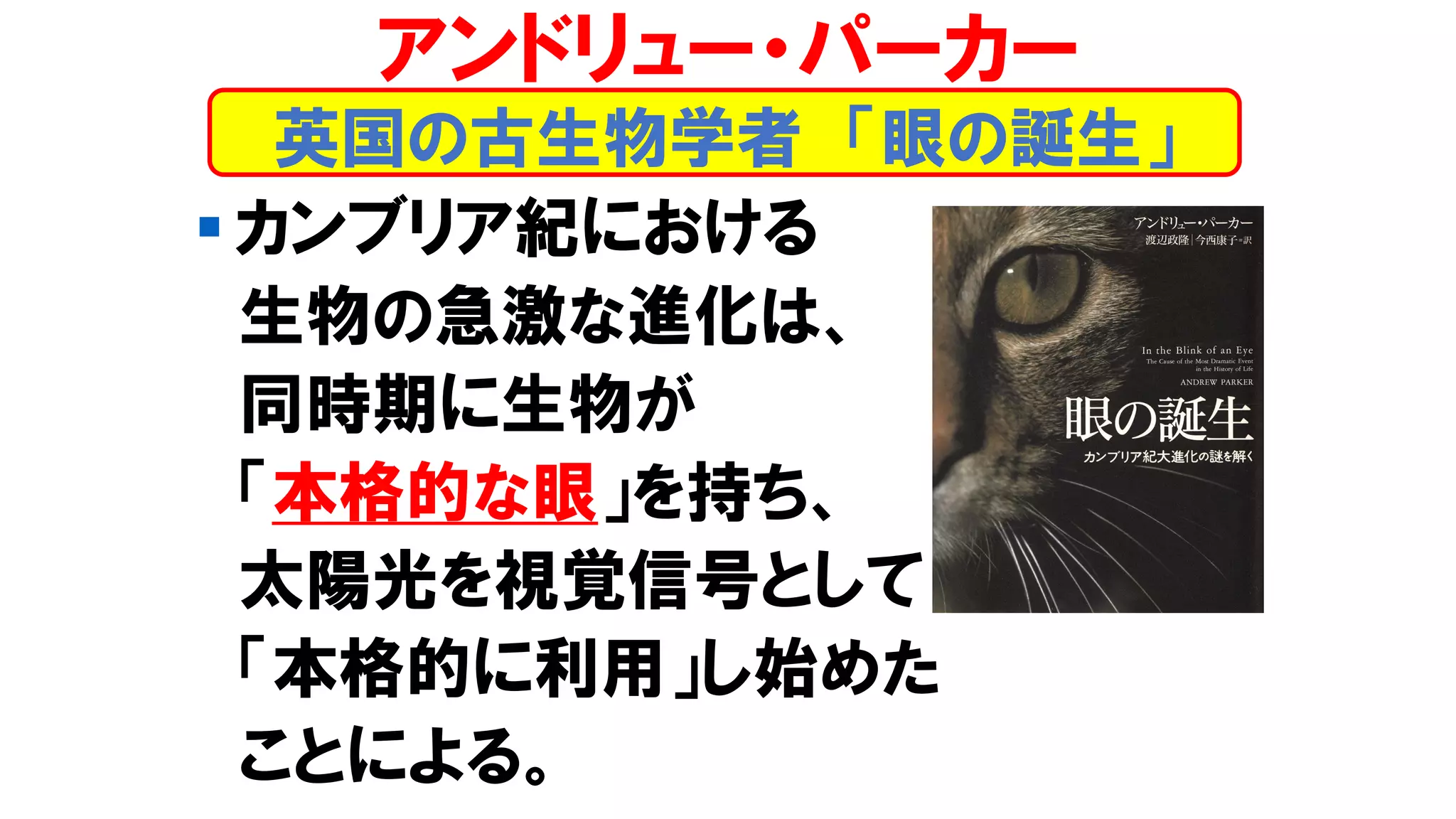 ▪ カンブリア紀における
生物の急激な進化は、
同時期に生物が
「本格的な眼」を持ち、
太陽光を視覚信号として
「本格的に利用」し始めた
ことによる。
英国の古生物学者 「眼の誕生」
アンドリュー・パーカー
 