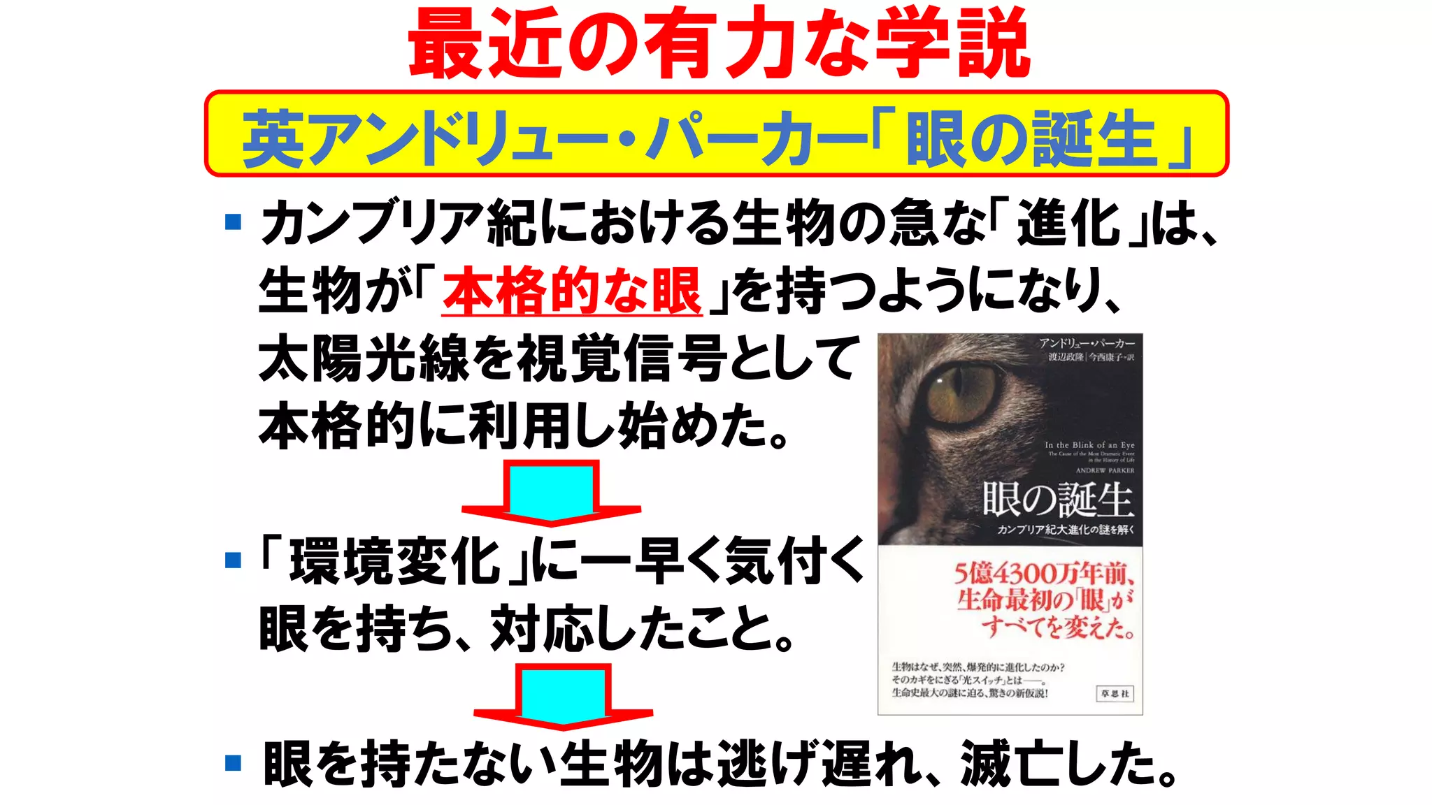 ▪ カンブリア紀における生物の急な「進化」は、
生物が「本格的な眼」を持つようになり、
太陽光線を視覚信号として
本格的に利用し始めた。
▪ 「環境変化」に一早く気付く
眼を持ち、対応したこと。
▪ 眼を持たない生物は逃げ遅れ、滅亡した。
最近の有力な学説
英アンドリュー・パーカー「眼の誕生」
 