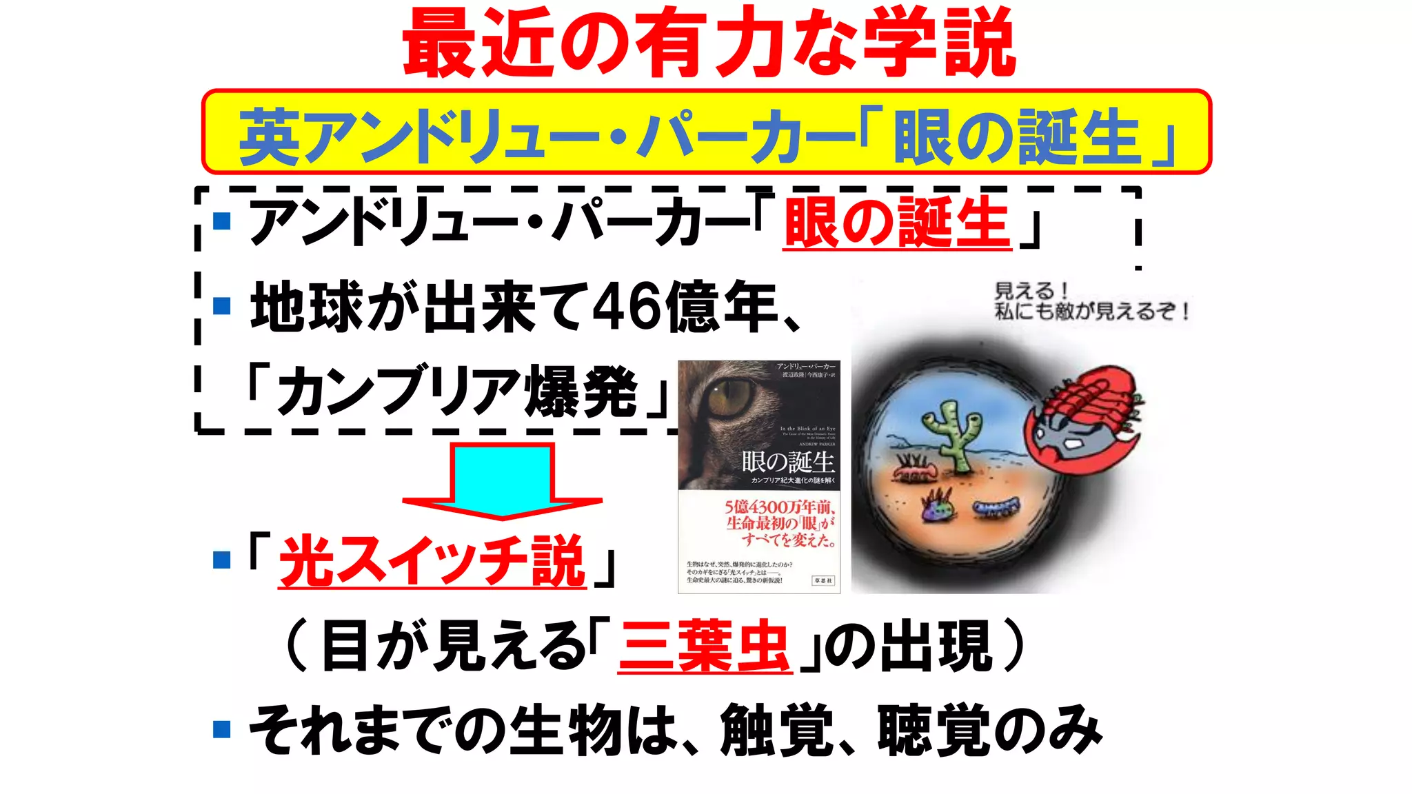 ▪ アンドリュー・パーカー「眼の誕生」
▪ 地球が出来て46億年、
「カンブリア爆発」
▪ 「光スイッチ説」
（目が見える「三葉虫」の出現）
▪ それまでの生物は、触覚、聴覚のみ
最近の有力な学説
英アンドリュー・パーカー「眼の誕生」
 