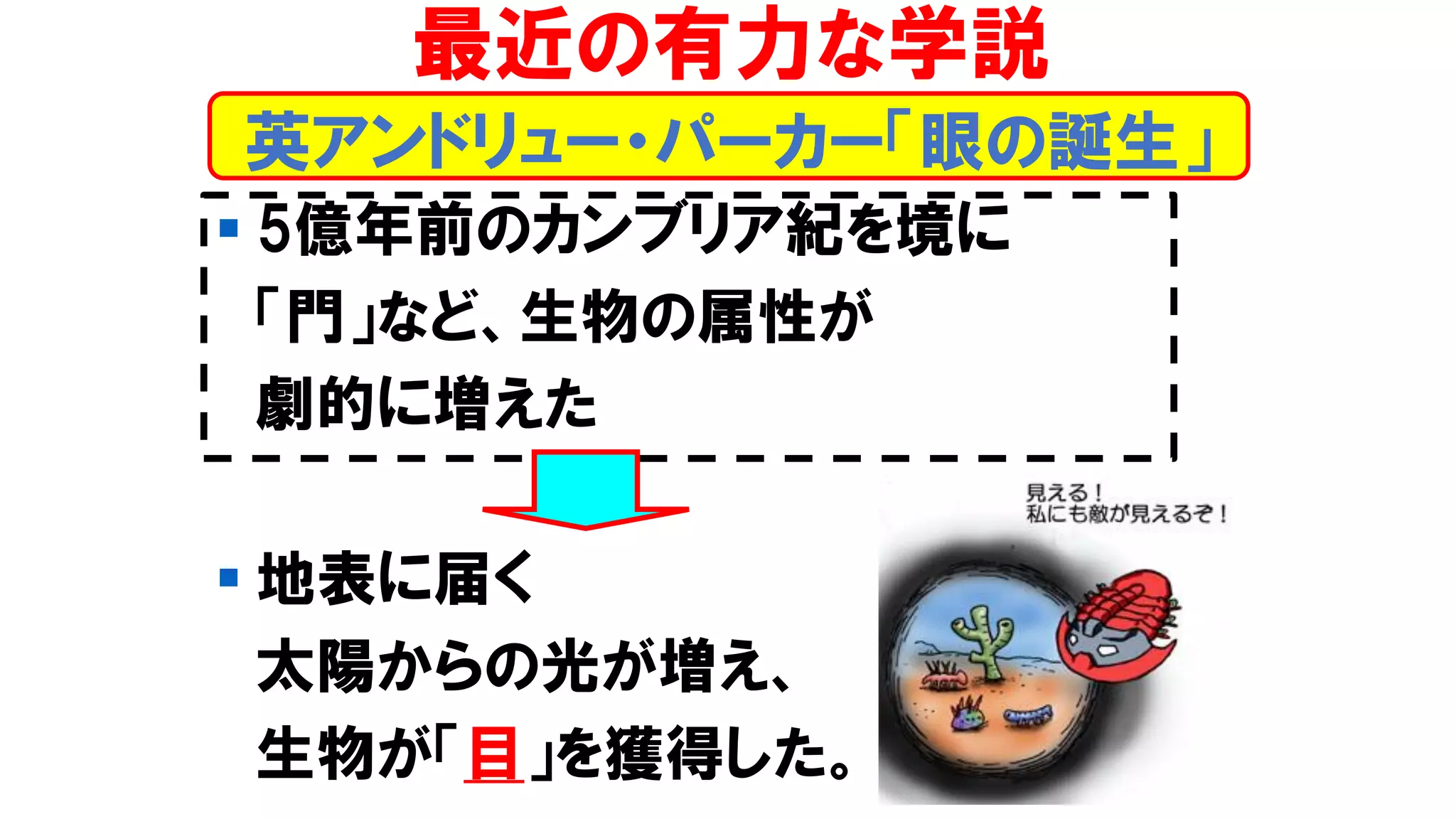 ▪ 5億年前のカンブリア紀を境に
「門」など、生物の属性が
劇的に増えた
▪ 地表に届く
太陽からの光が増え、
生物が「目」を獲得した。
最近の有力な学説
英アンドリュー・パーカー「眼の誕生」
 