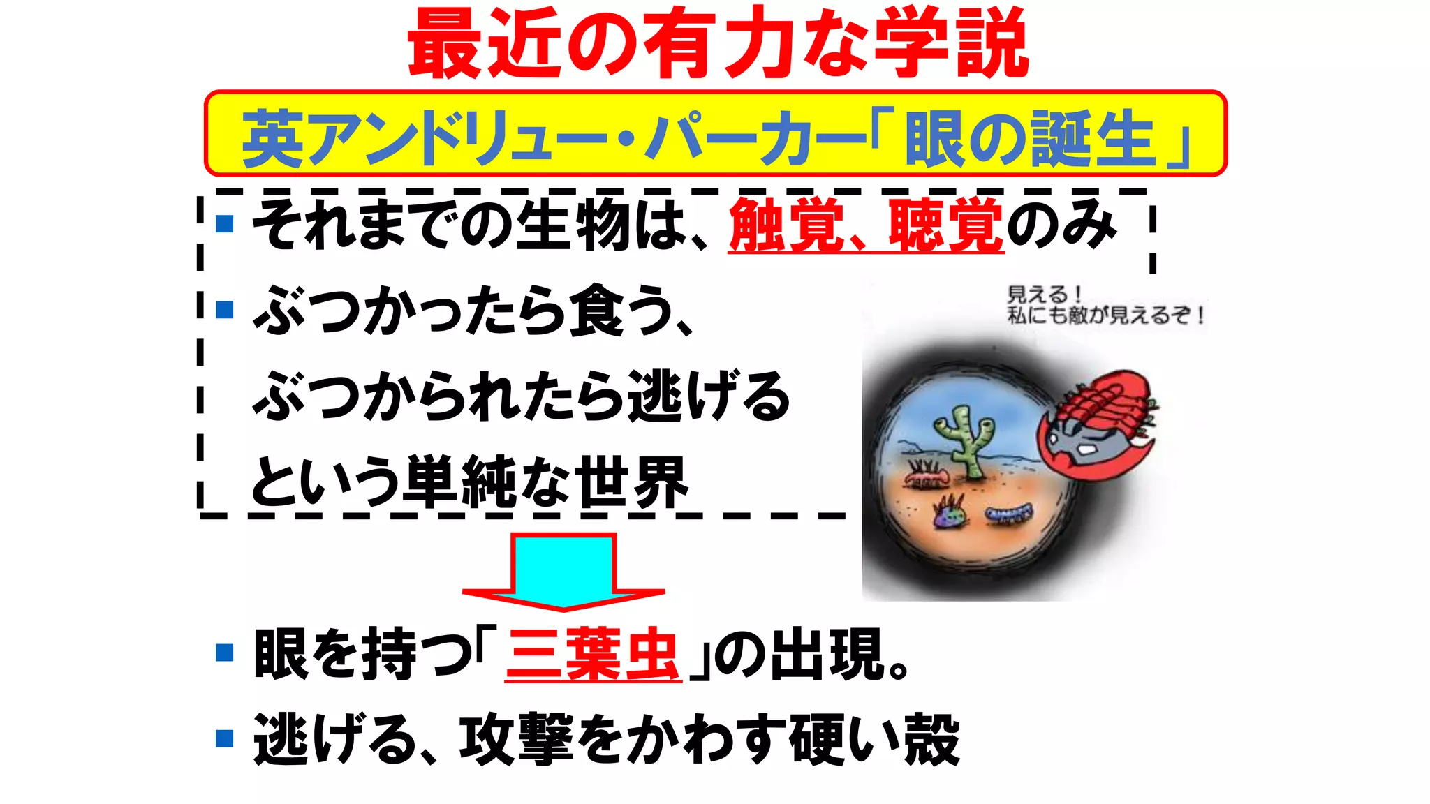 ▪ それまでの生物は、触覚、聴覚のみ
▪ ぶつかったら食う、
ぶつかられたら逃げる
という単純な世界
▪ 眼を持つ「三葉虫」の出現。
▪ 逃げる、攻撃をかわす硬い殻
最近の有力な学説
英アンドリュー・パーカー「眼の誕生」
 