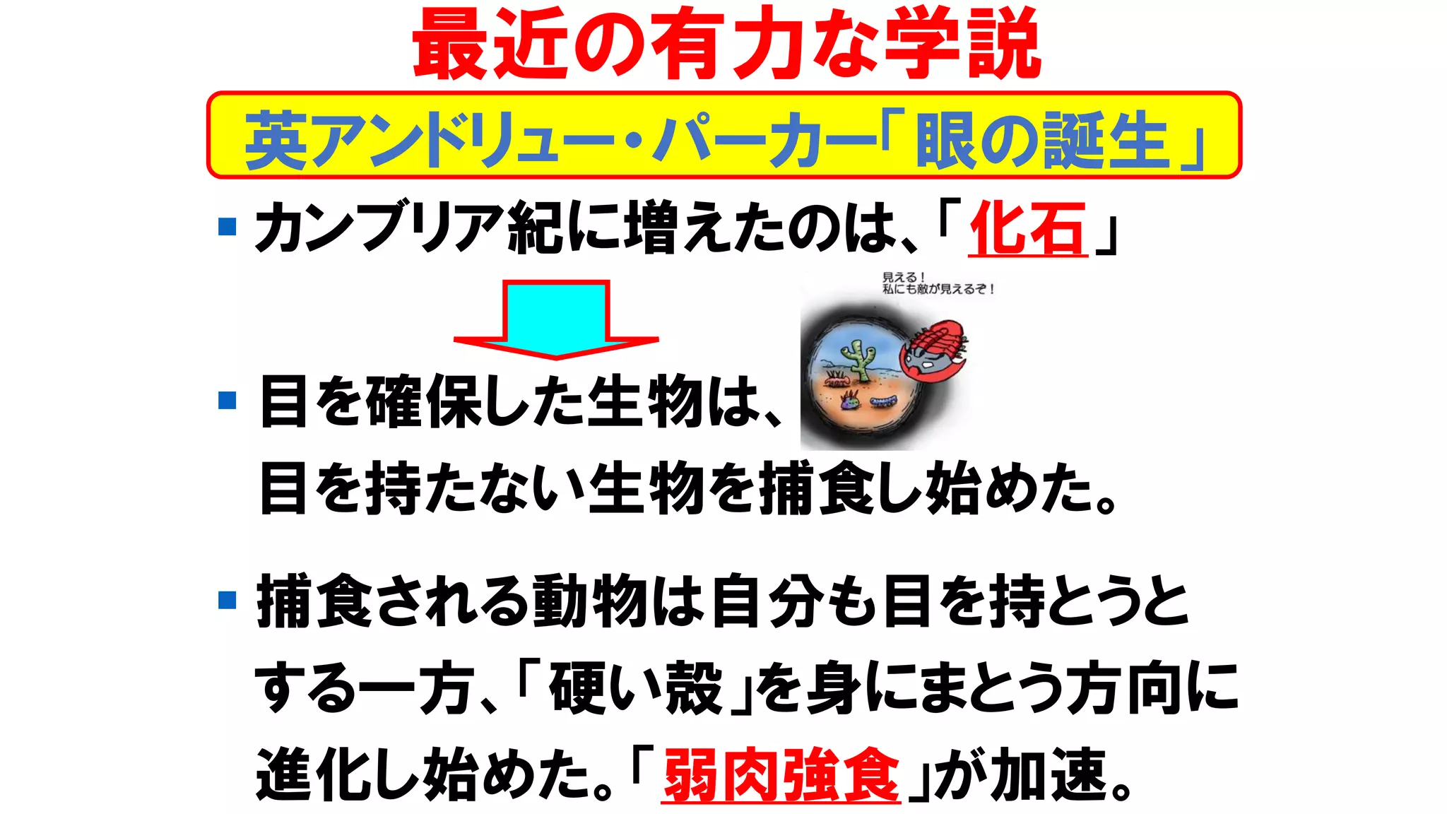 ▪ カンブリア紀に増えたのは、「化石」
▪ 目を確保した生物は、
目を持たない生物を捕食し始めた。
▪ 捕食される動物は自分も目を持とうと
する一方、「硬い殻」を身にまとう方向に
進化し始めた。「弱肉強食」が加速。
最近の有力な学説
英アンドリュー・パーカー「眼の誕生」
 